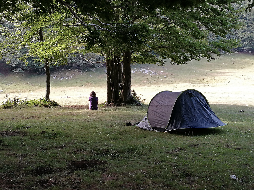 gaia-bosco-tenda-faggi-molise